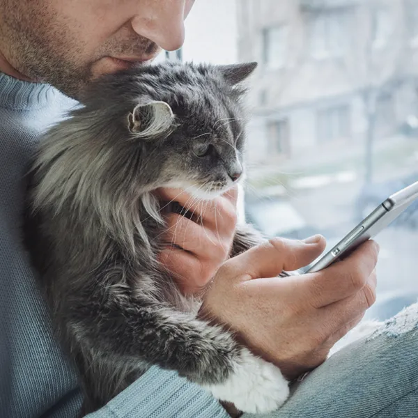 Chat et homme contactant un comportementaliste félin par téléphone